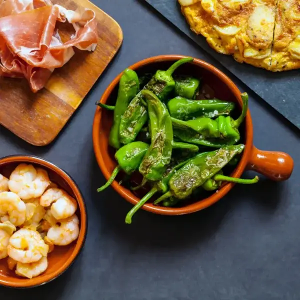Stegte Padrons